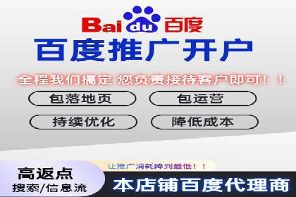 百度竞价SEM案例：揭秘高效广告投放技巧